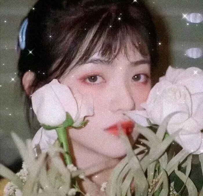 炭团与竹轮